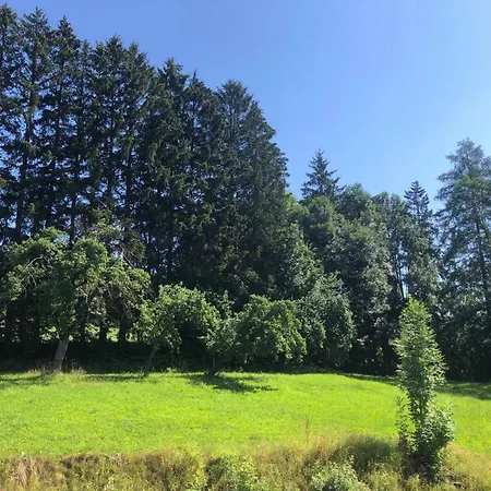Achtlerhof Appartamento Hohenwarth