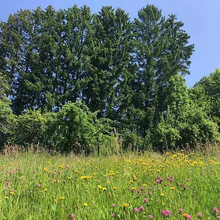 Appartamento Achtlerhof Hohenwarth