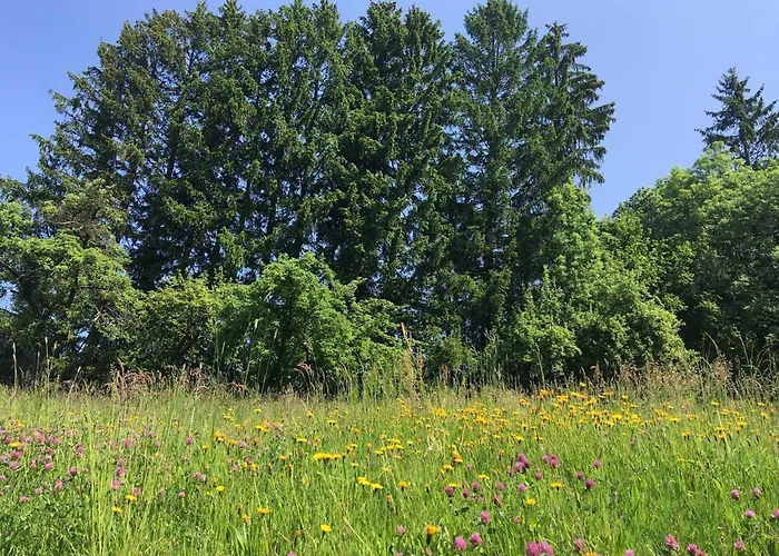 Lägenhet Achtlerhof Hohenwarth